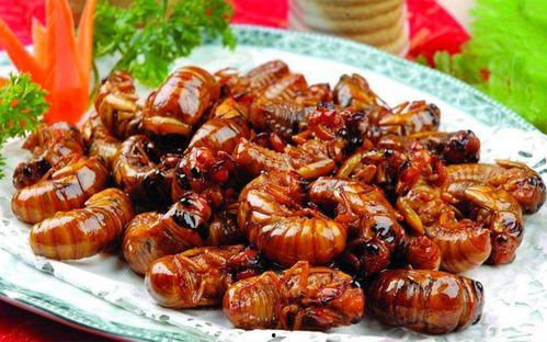 最新新康饭菜爆料图片高清,高清爆料图揭示美食新境界  第1张