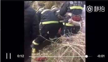 花果园爆料女子下跪视频,真相与争议  第3张